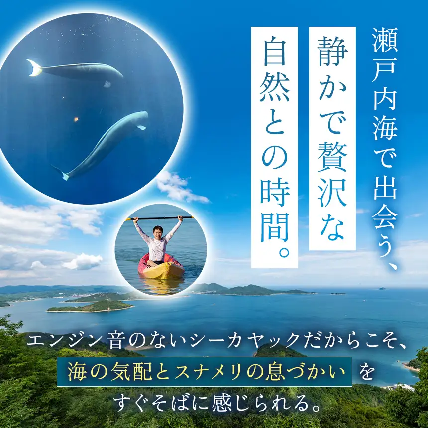 【 体験利用券 】瀬戸内海 シーカヤック スナメリ ウォッチング ツアー （ 1 名様分 ）