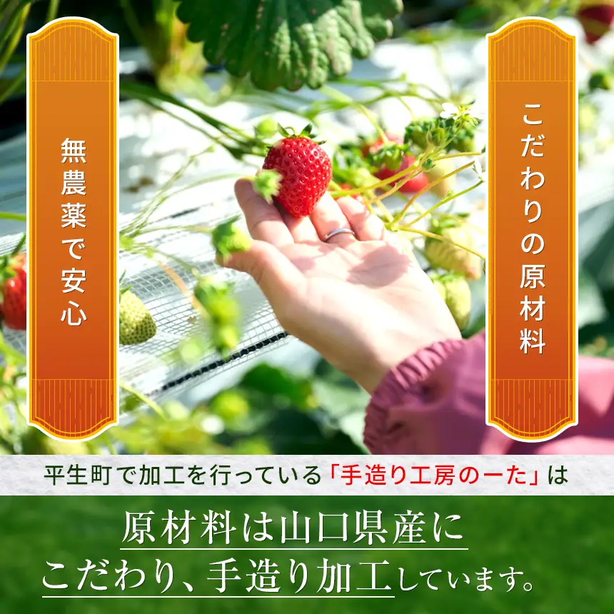 旬の完熟フルーツジャム詰め合わせ（３種以上５個）