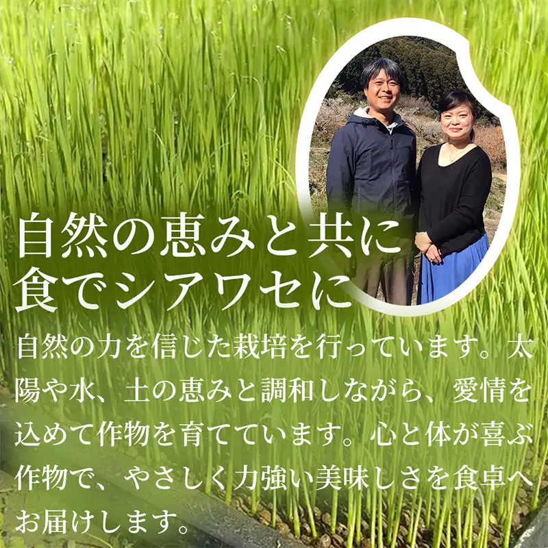 【粘りと旨みを楽しめる】自然栽培米5kg 夢しずく(玄米) 2袋 玄穀ごはん 粘り食感穀物 甘みあるご飯 つや粒米 おにぎり向き 冷めても美味しい米 食卓穀物 家庭料理用米 国産米
