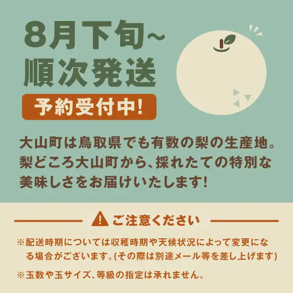 YN-05 南月梨5kg