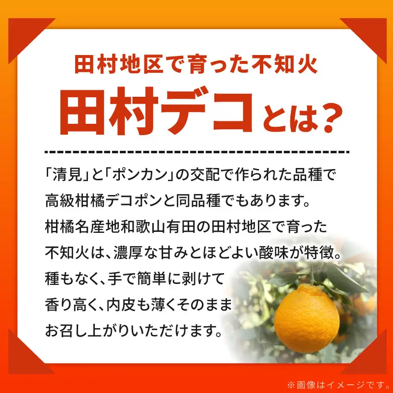 【2027年先行予約】和歌山有田 田村の不知火(田村デコ) 秀品 12～24玉_AB7433