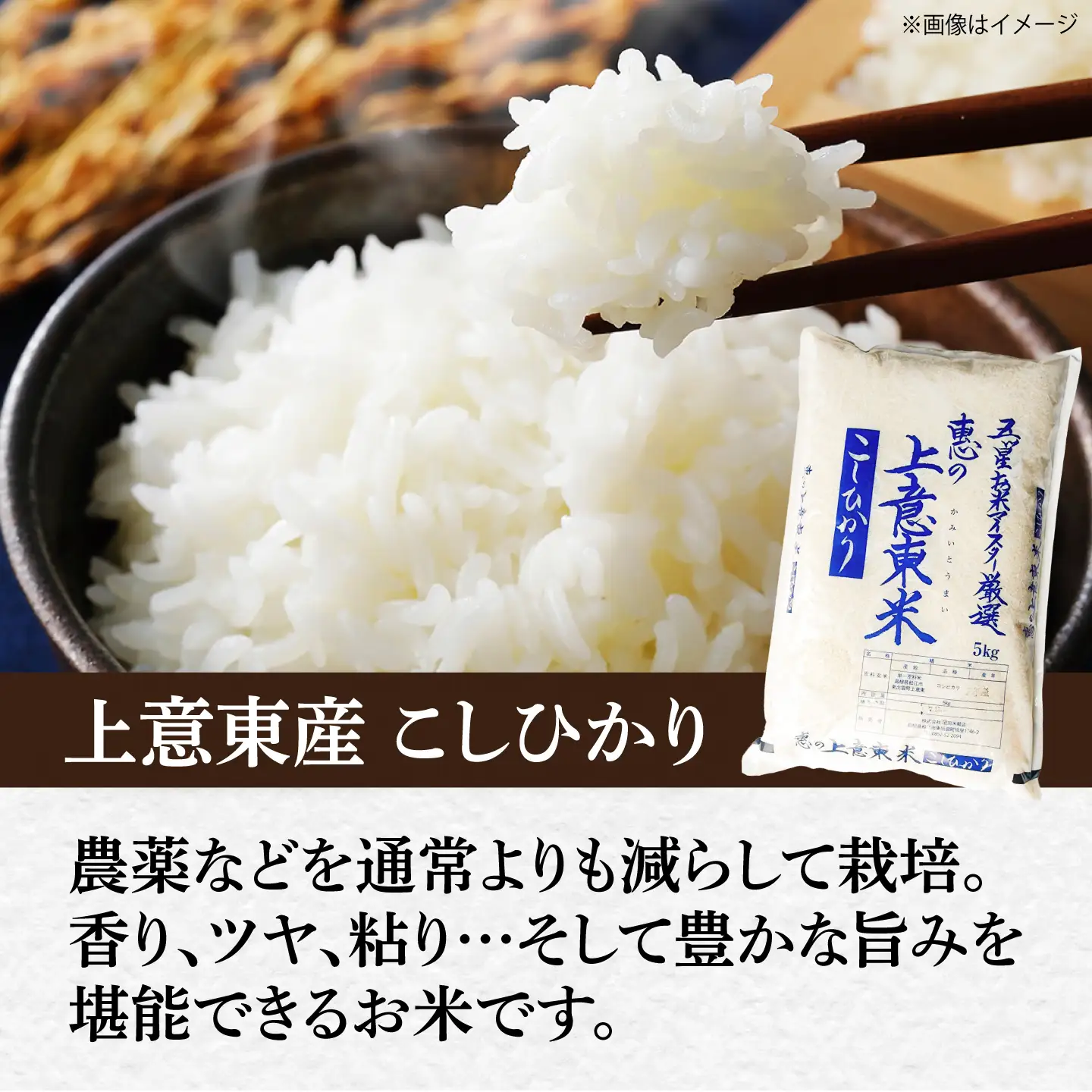 令和7年産コシヒカリ精米5kg｜ コシヒカリ ご飯 白米 松江市 島根県 中国 [ALBU016]