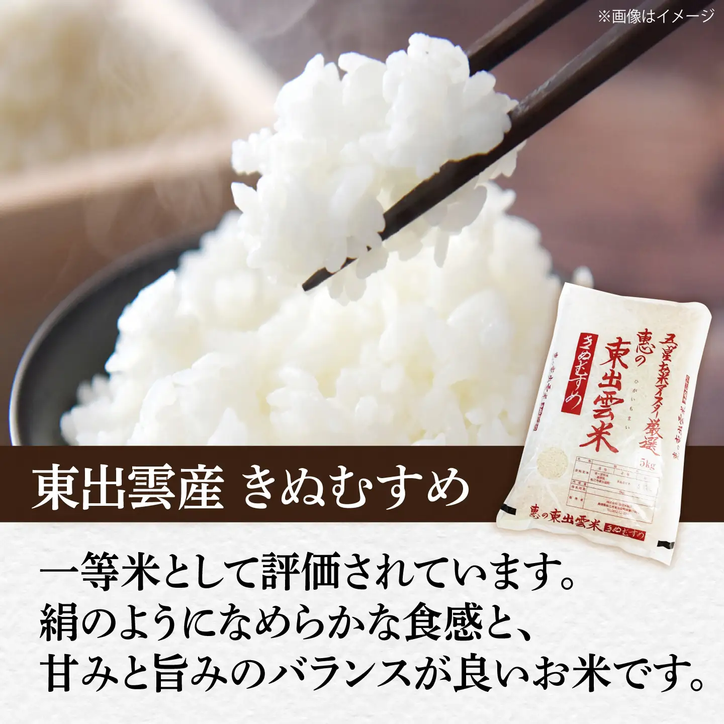 【精米】きぬむすめ5kg 白米 5kg(5キロ×1) ブランド米 [ALBU017]お米
