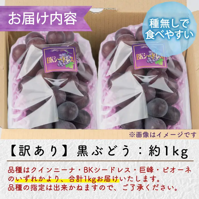 ≪期間限定！2026年8月中旬以降順次発送≫  訳あり！黒ぶどう(約1kg) 国産 九州産 鹿児島産 湧水町 巨峰 ピオーネ クインニーナ BKシードレス 葡萄 ぶどう ブドウ 果物 くだもの フルーツ 旬 訳アリ ワケあり 家庭用 種無し 種なし 【大倉野 隆】_y601