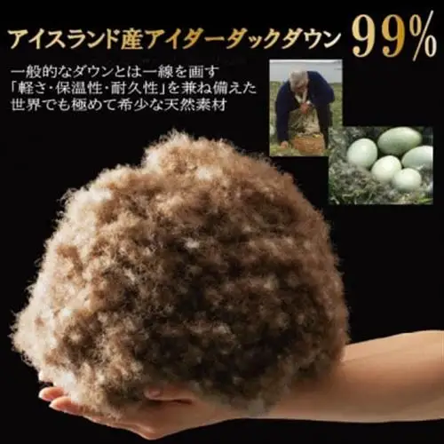 【クイーン】羽毛布団 (掛けカバー付) アイスランド産アイダーダックダウン99%＆ピュアカシミヤ毛布【1732925】