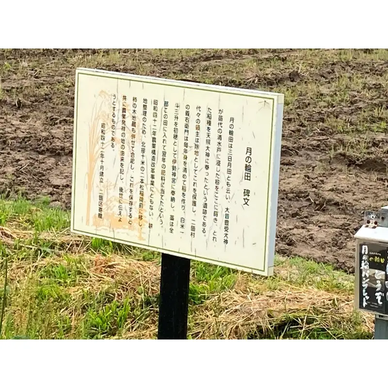 稲作発祥の地。未来へつなぐ「月の輪田・清水戸」の保全と魅力発信に関する活動支援 1口 100,000円【返礼品なし】 京都府 京丹後市 地域応援 地域支援 活動応援 活動支援 京都 丹後 返礼品なし