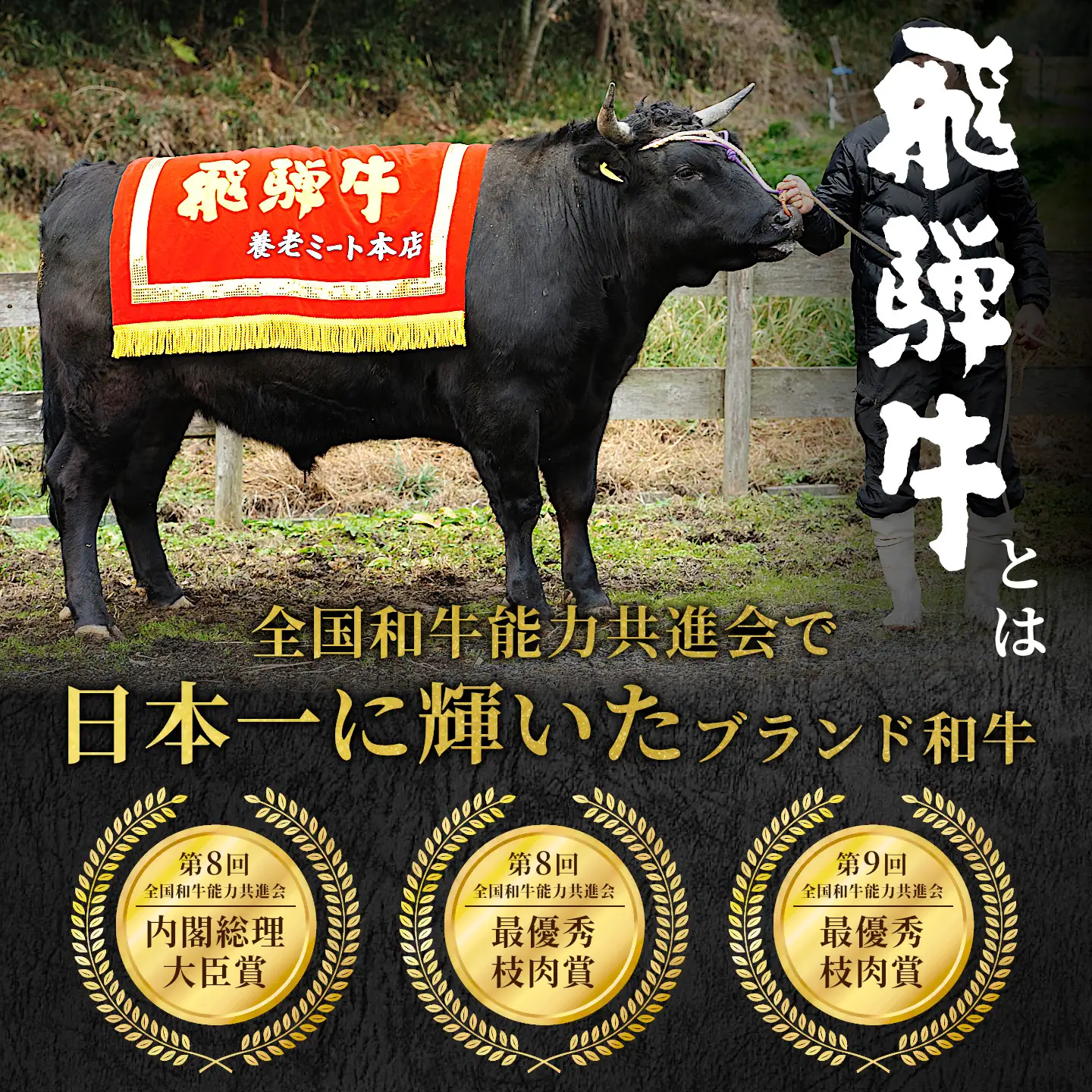 【最短発送】 飛騨牛 ももブロック 300g 1本 ローストビーフ 養老ミート