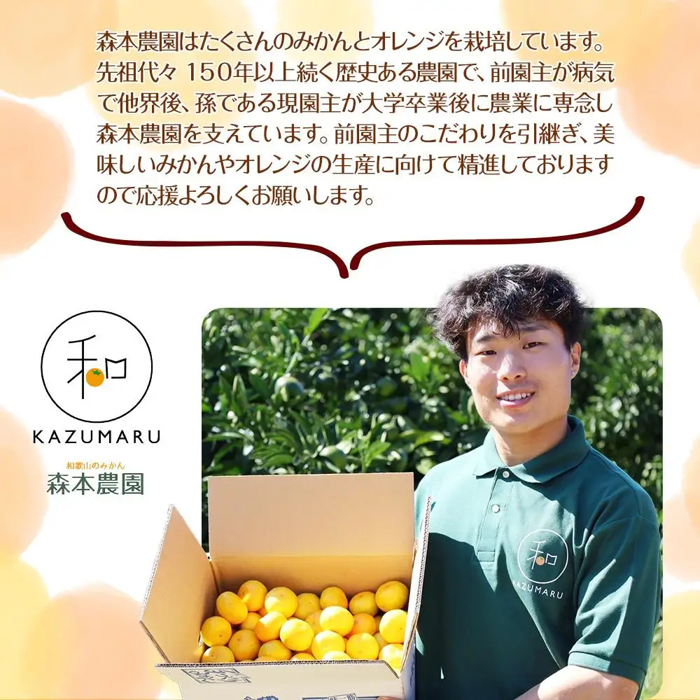［定期便］森本農園の手選別 訳ありみかん 約10kg サイズ混合 和歌山県産 ［北海道・沖縄・離島配送不可］［2026年10月～2027年1月まで全4回お届け］ ［RN166］