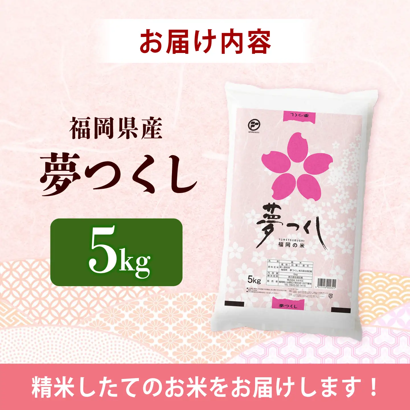 令和7年産　福岡県　夢つくし　5kg 《築上町》【カネガエ】[ABFA001]