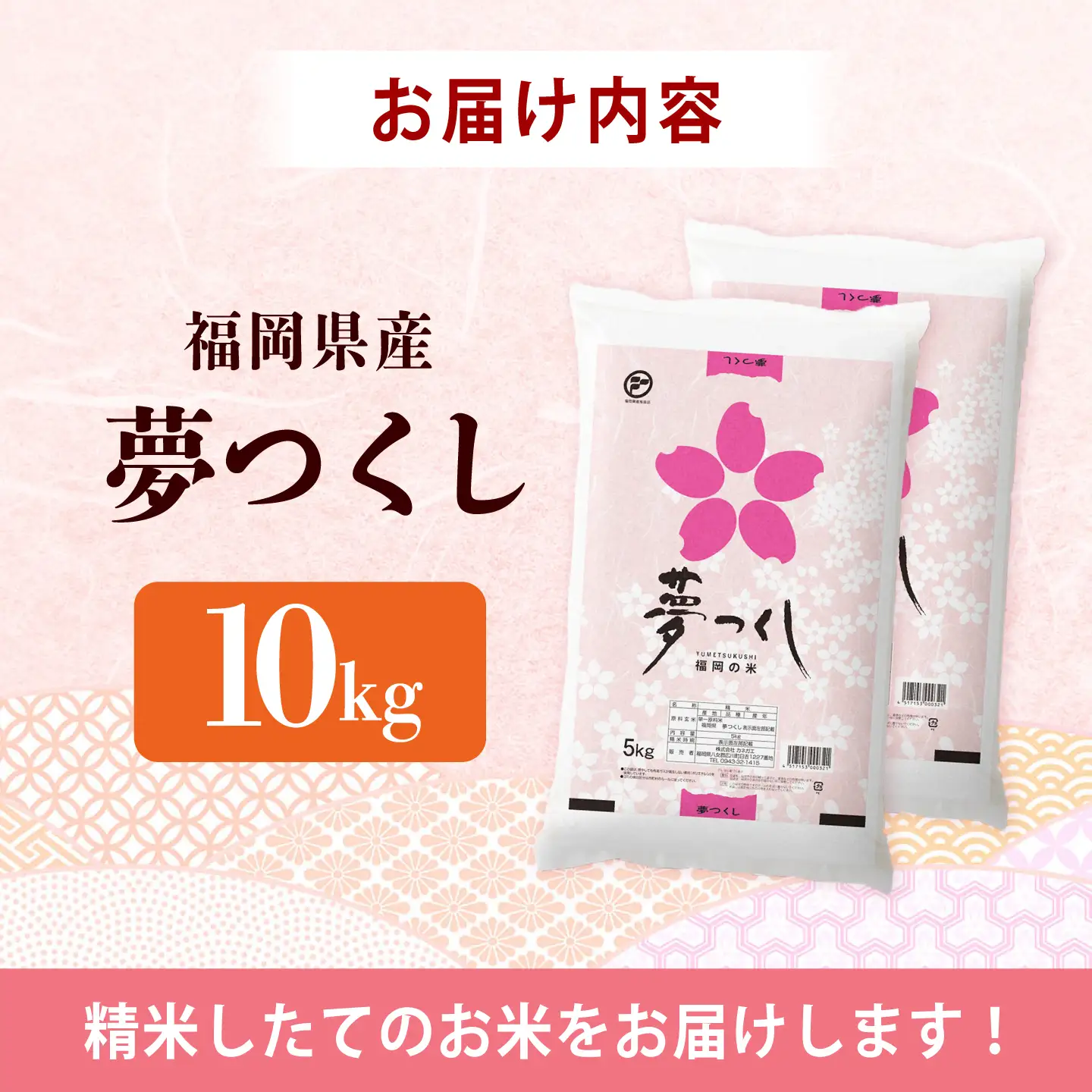 令和7年産　福岡県　夢つくし　10kg（5kg×2袋）《築上町》【カネガエ】[ABFA002]