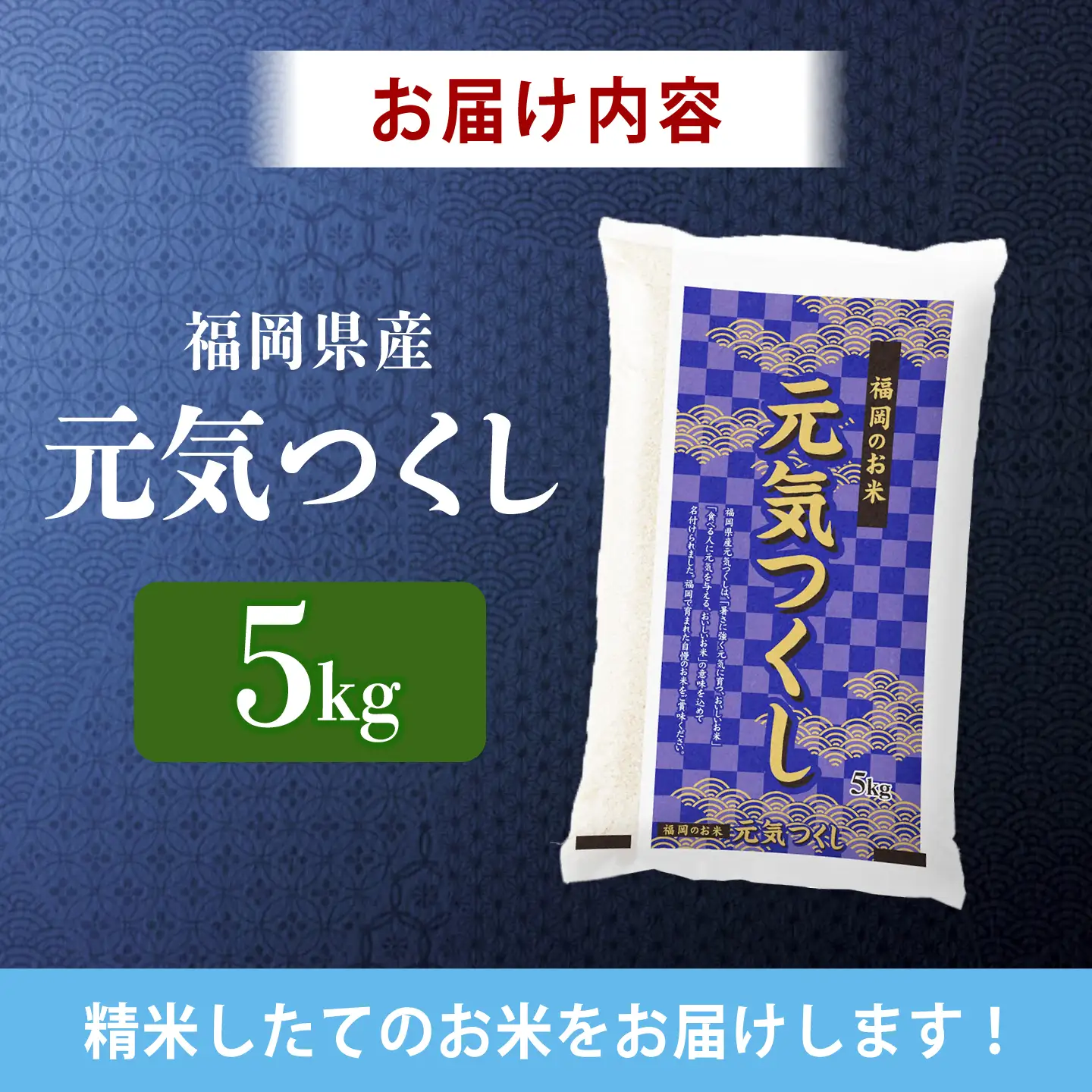 令和7年産　福岡県　元気つくし　5kg　《築上町》【カネガエ】[ABFA004]