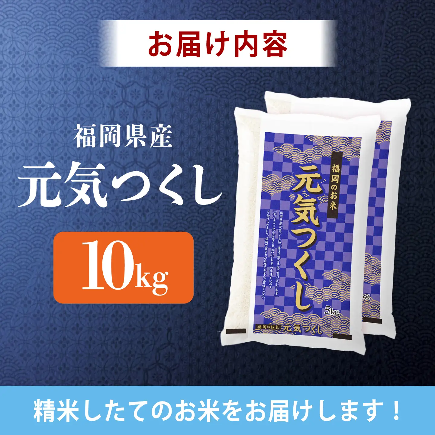 令和7年産　福岡県　元気つくし　10kg（5kg×2袋）《築上町》【カネガエ】[ABFA005]