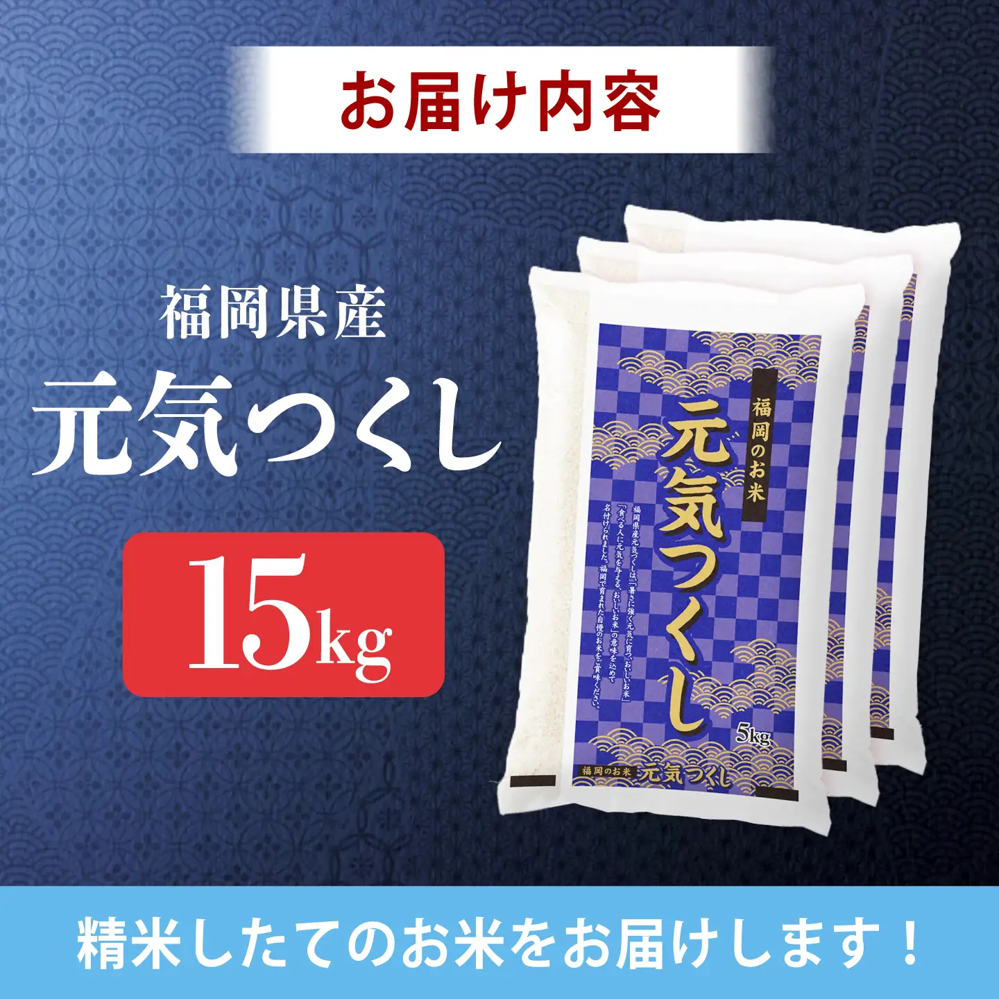 令和7年産　福岡県　元気つくし　15kg（5kg×3袋）《築上町》【カネガエ】[ABFA006]