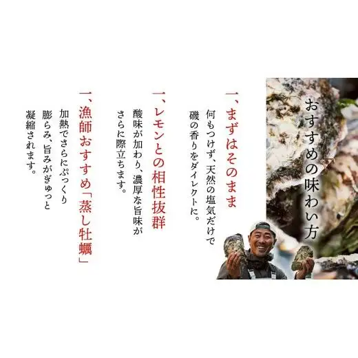 天然・生食可 大・特大サイズ 岩牡蠣 5個 瀬戸内産  《ナイフ・軍手付き》 産地直送