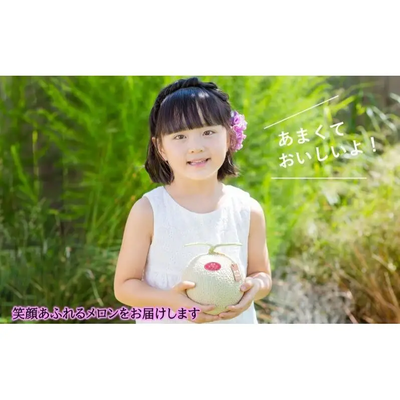 天使音（あまね）マスクメロン グラン・ベベ 1玉（0.8kg～0.9kg）化粧箱入り 高級 フルーツ 果物 メロン 静岡 浜松市【配送不可：離島】