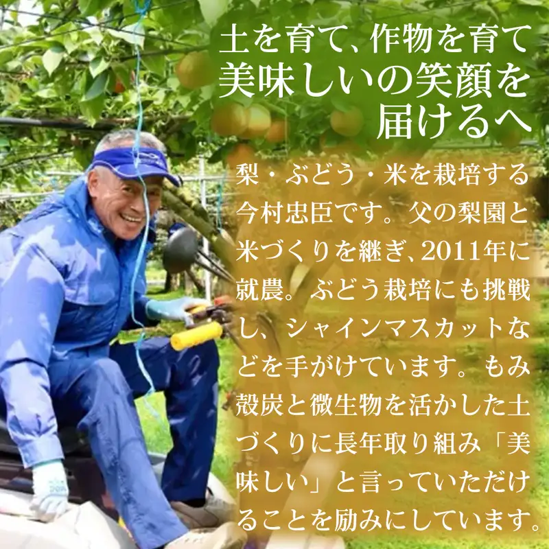 くまさんの輝き ブランド米 熊本県産 くまさんの輝き【5kg】