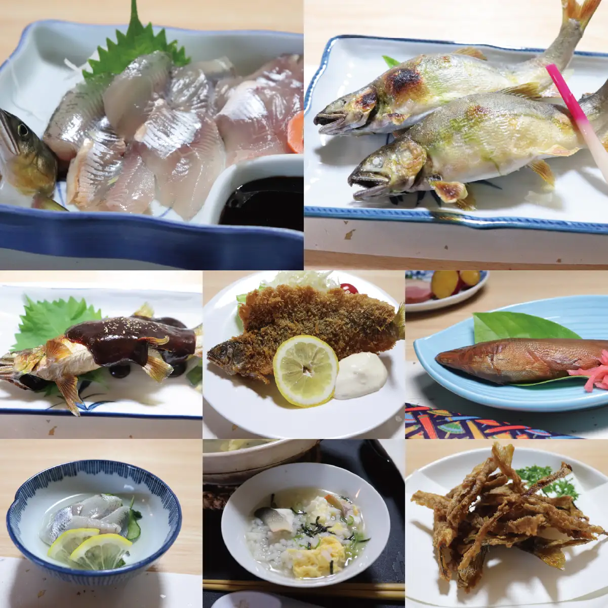 【期間限定】【岐阜県産】 活あゆ会席 お食事券（１名様分）｜岐阜 鮎 食事券 お造り 刺身 塩焼き 雑炊 フルコース 夏 隠れ家 グルメ 生け簀 ギフト プレゼント いのしし亭 桐山荘