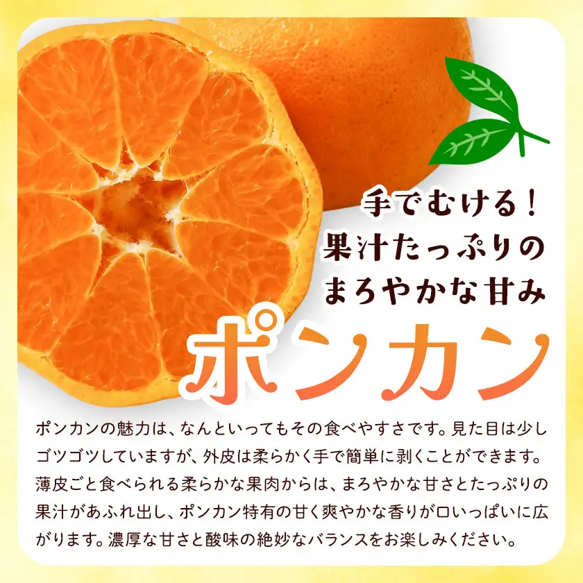 ポンカン サイズ混合 7.5kg エイワ商店