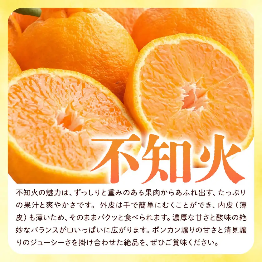 化粧箱入り 不知火 15～20玉入り エイワ商店