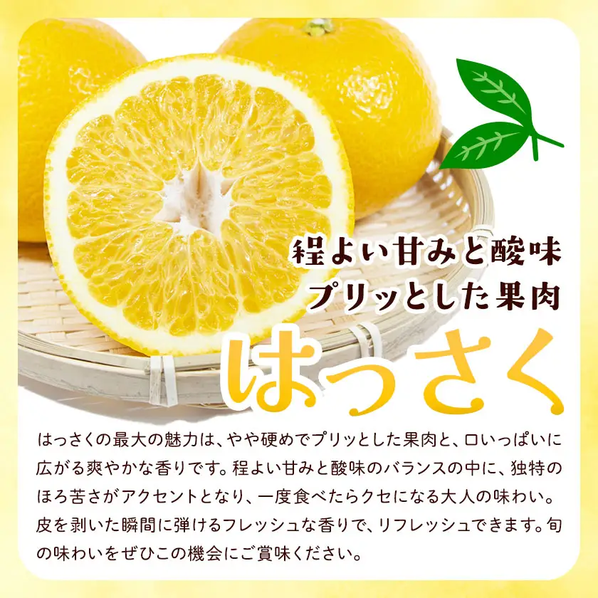 はっさく サイズ混合 10kg エイワ商店