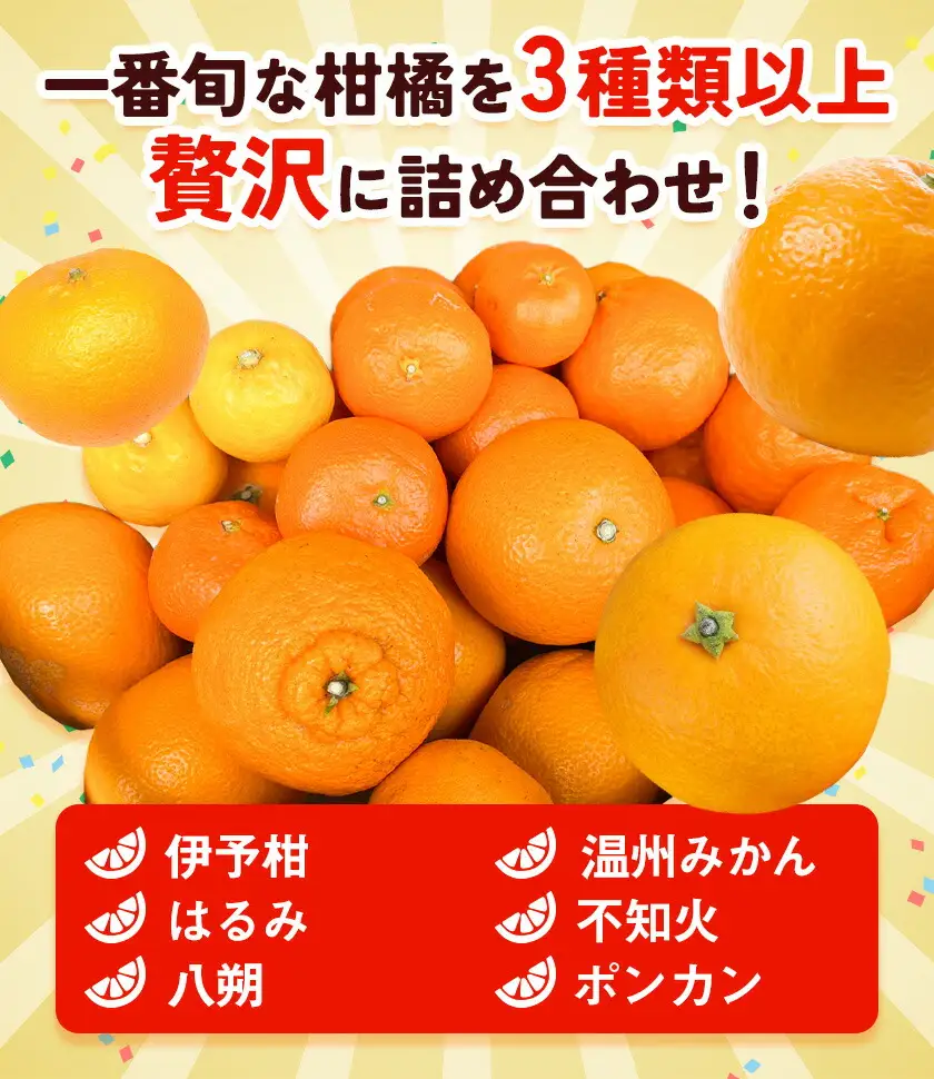 旬の柑橘 詰め合わせ 3種以上 サイズ混合 5kg エイワ商店