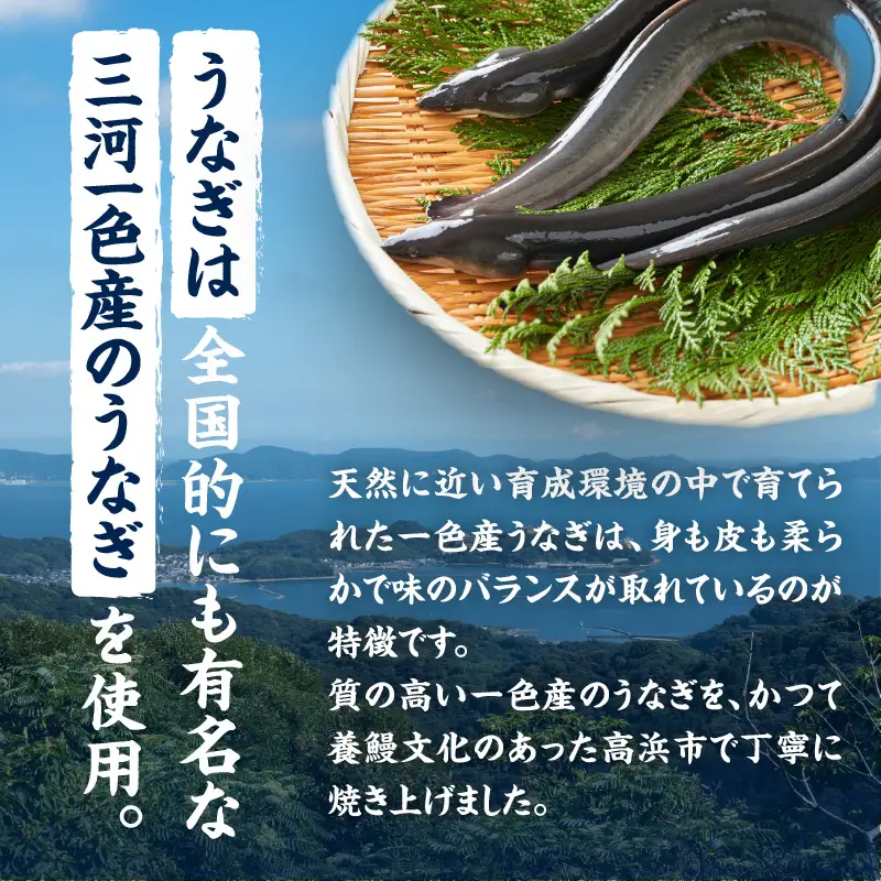 三河一色産うなぎの白焼３尾_47-322-1