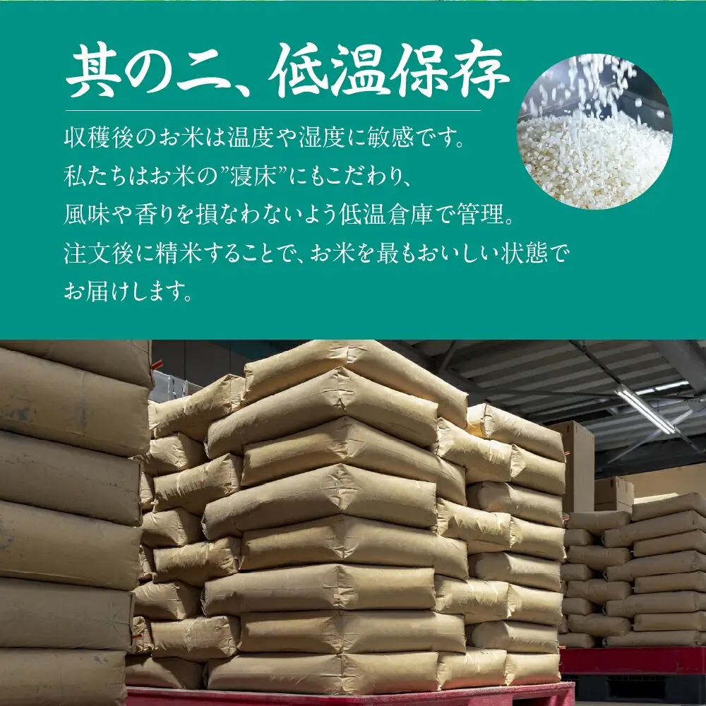 令和7年産 ミルキークイーン 5kg 定期便 12回 白米 ブランド米 ミルキー ﾐﾙｷｰｸｲｰﾝ お米 こめ 米 ※ コメ ご飯 生活必需品 日用品 定期 定期配送 人気 美味しい 取り寄せ 5キロ  12か月 送料無料 愛知県 豊橋市