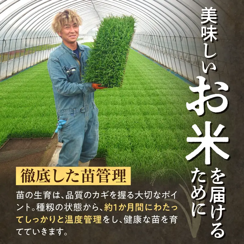 【新米予約】 令和8年産 ななつぼし 【11月後半発送】精米 5kg＜ フジエファーム ＞ 特A 雨竜町 お米 米 厳選 人気
