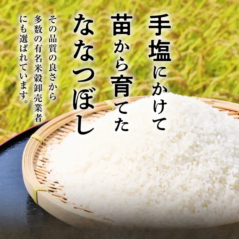【新米予約】 令和８年産 ななつぼし 【10月後半発送】精米 10kg (5kg×2袋) ＜ フジエファーム ＞ 特A 雨竜町 お米 米 厳選 人気