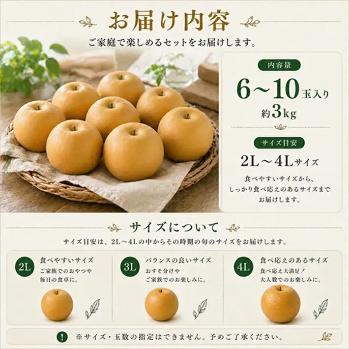SA2991　刈屋梨　南水　約3kg(6～10玉入)