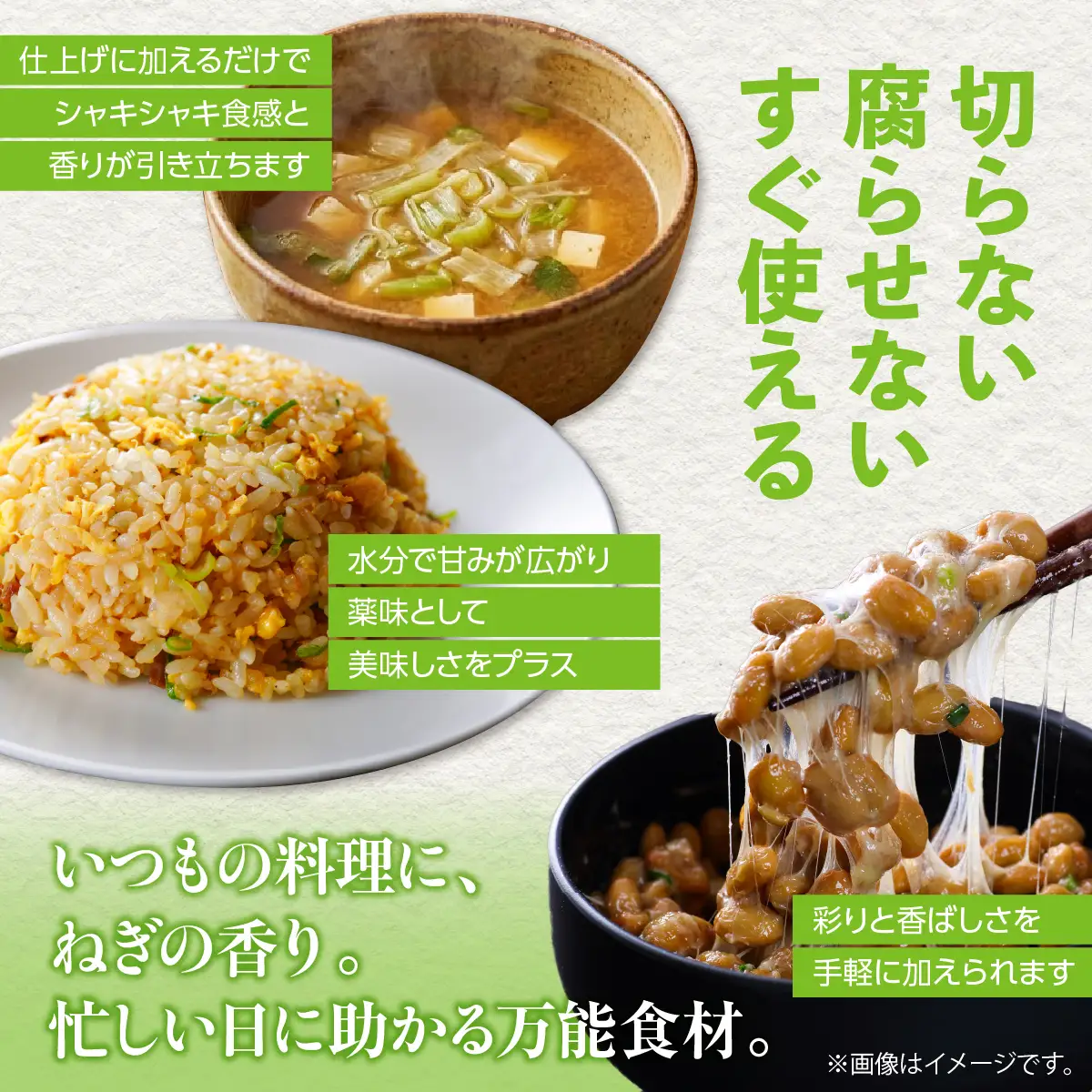 【先行予約】【2026年9月より発送】ななえさん10袋 NAD010
