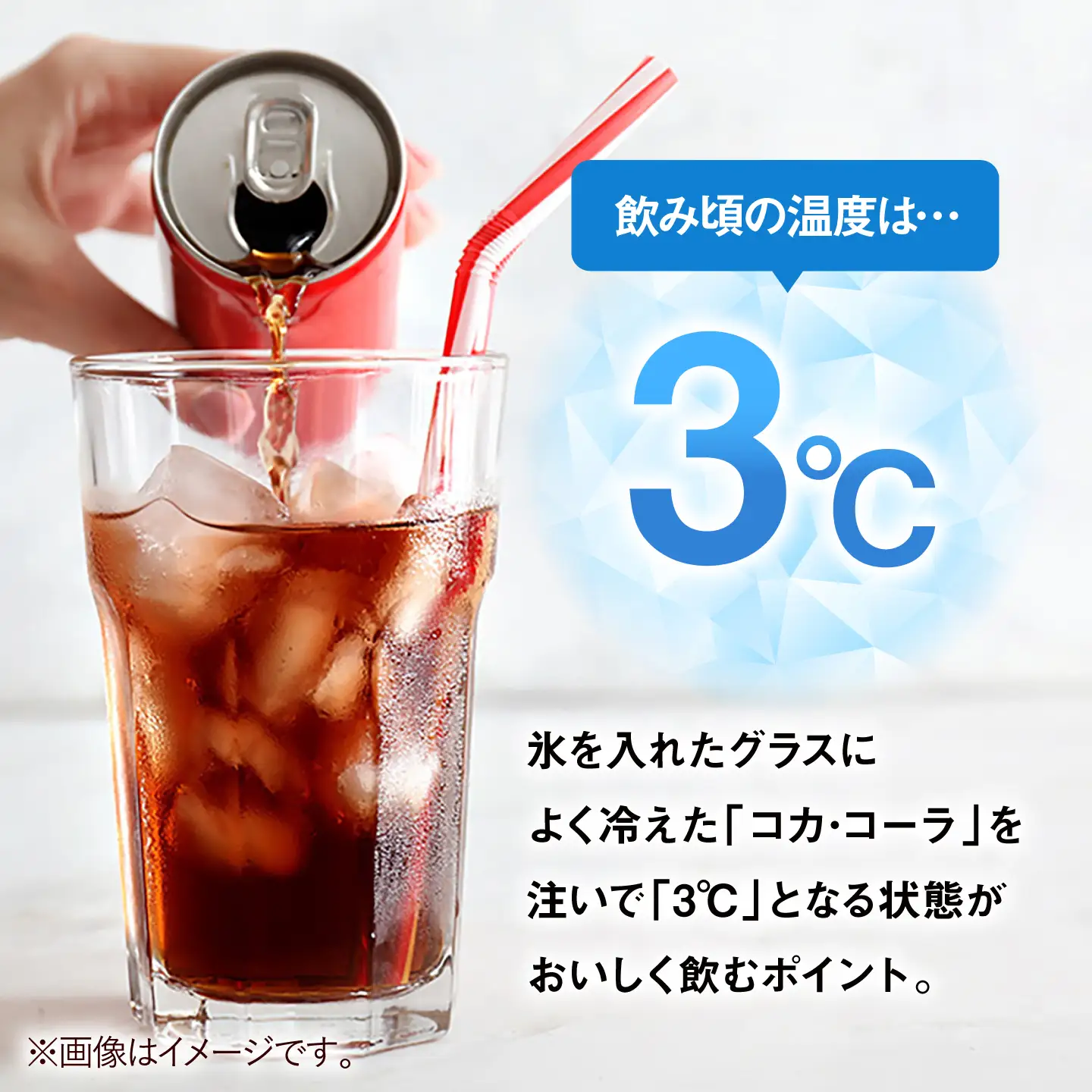 【全2回定期便】 コカ・コーラ 500ml×24本 / 炭酸飲料 ドリンク ジュース / 佐賀県 / コカ・コーラボトラーズジャパン株式会社[41AFAO043]