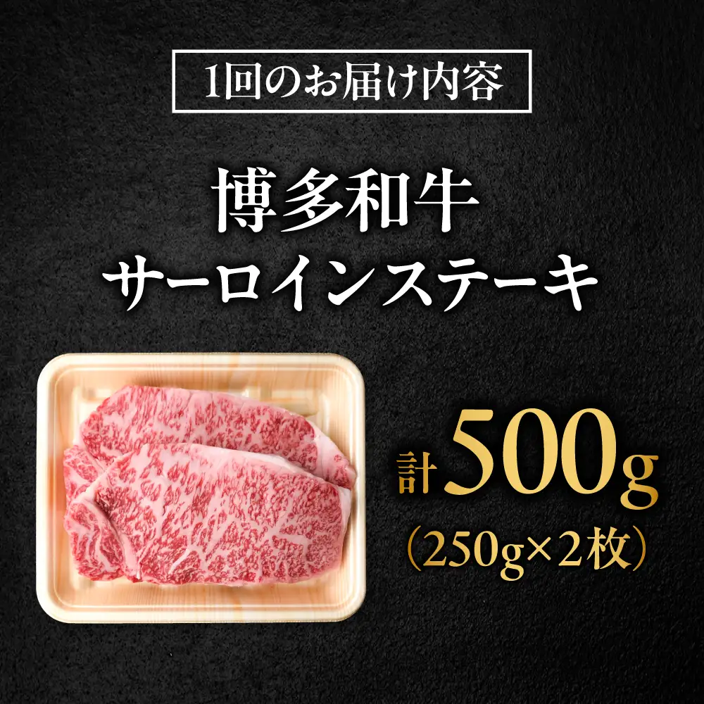 【全6回定期便】博多和牛 牛肉 サーロイン ステーキ 500g（250g×2）[BGBY075] サーロイン 定期 国産