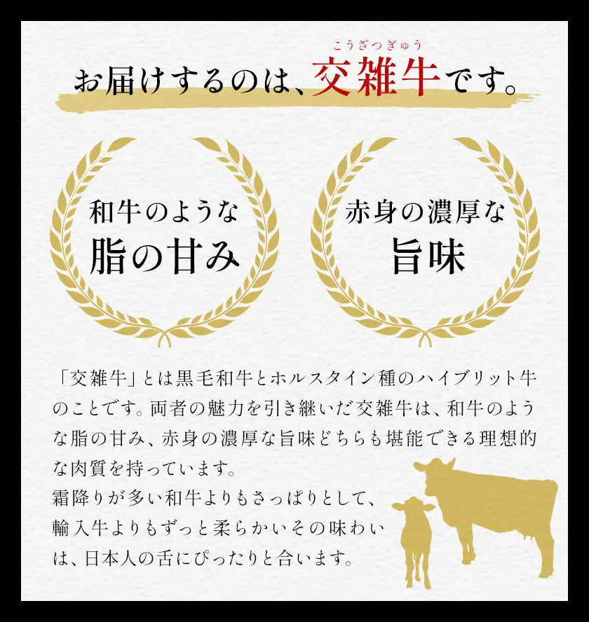 【3ヶ月定期便】岡山県産牛 切り落とし 交雑牛 1kg×3回