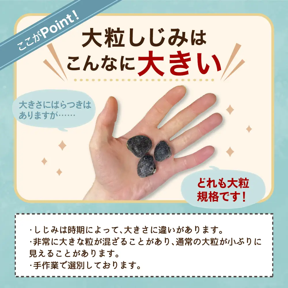 【ふるなびWEEK対象】津軽十三湖産大和しじみ 大粒 800g （冷凍・砂抜き済） しじみ