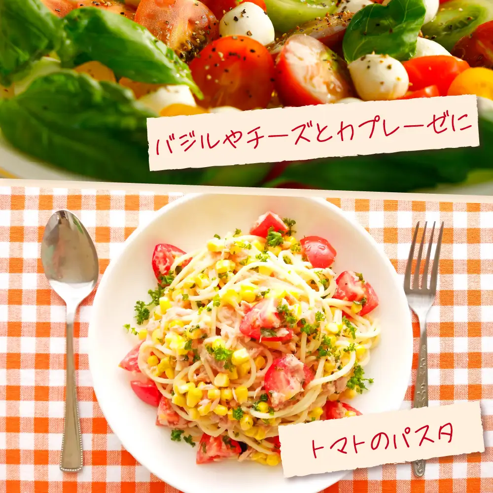 ミニトマト 超薄皮約1.7kg【2026先行受付】7～9月ミニトマト