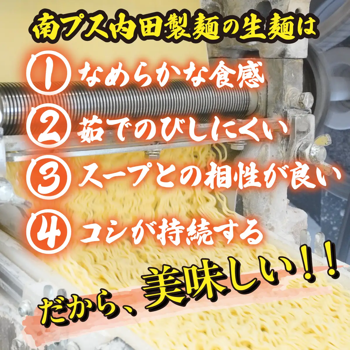 【山梨郷土料理】生ほうとう麺8人前セット 特製だし入り味噌だれ付きALPGH004
