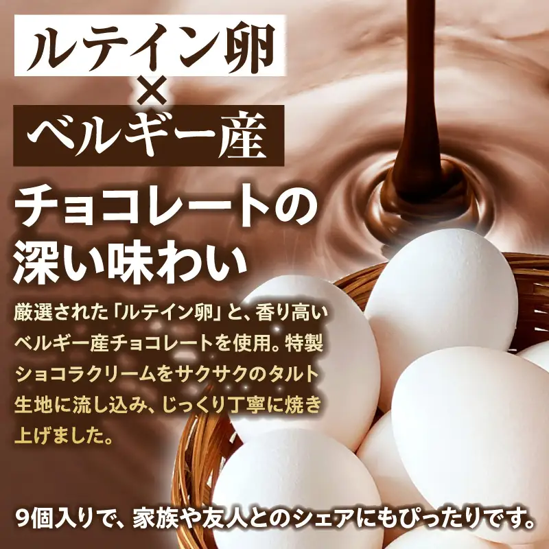 【お中元 内熨斗対応可能】ショコラエッグタルト 9個入