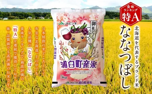 〈 令和8年産 〉 浦臼産ななつぼし 精白米 10kg （ 5kg × 2袋 ） お米 米 こめ コメ 白米 白飯 飯 ご飯 おにぎり 国産 北海道産 ブランド米 ブランド 艶 粘り 甘み 【 2026年10月下旬より順次発送 】