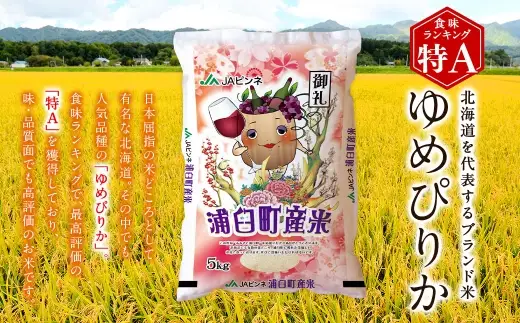 〈 令和8年産 〉 浦臼産ゆめぴりか 精白米 5kg × 1袋 お米 米 こめ コメ 白米 白飯 飯 ご飯 おにぎり 国産 北海道産 ブランド米 ブランド 粘り タンパク質 艶 【 2026年10月下旬より順次発送 】