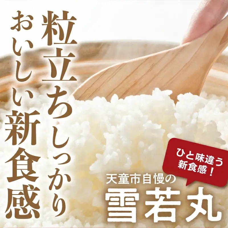新米 【9月下旬発送】 令和8年産 無洗米 雪若丸 10kg