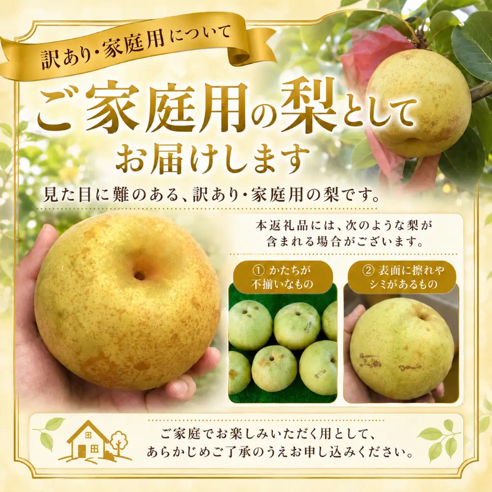 幸水3kg 家庭用