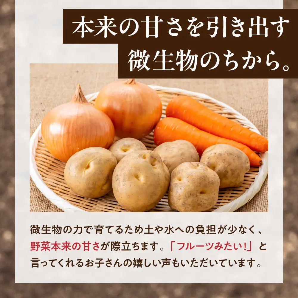 常備野菜セット | じゃがいも 玉ねぎ にんじん 北海道 札幌市