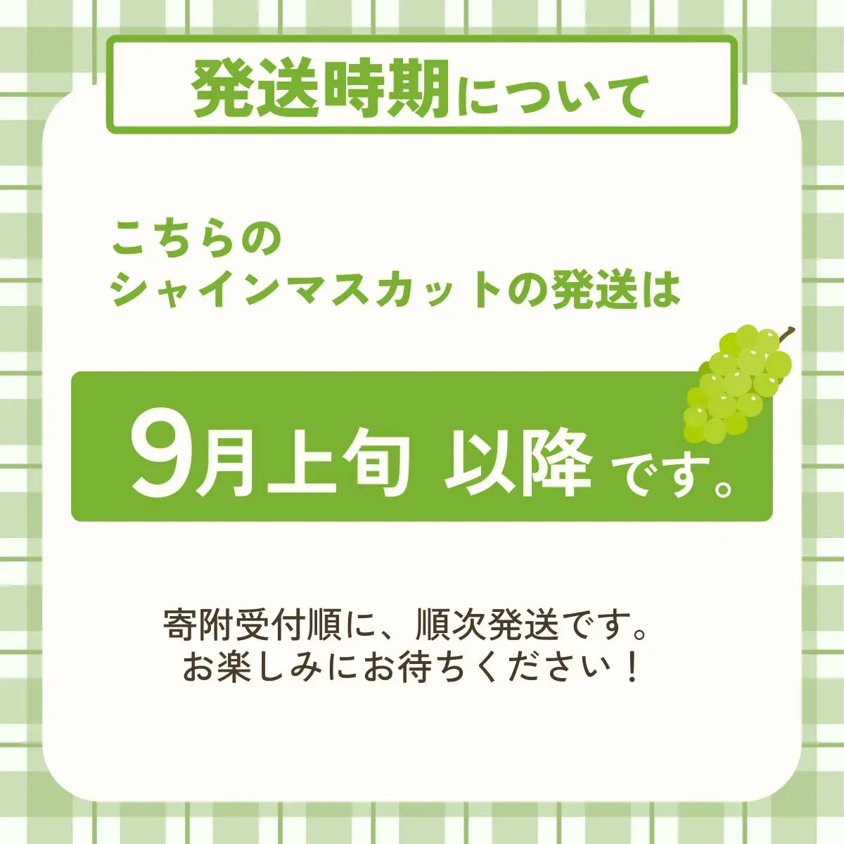 [9月上旬以降順次発送] シャインマスカット 糖度18度以上 完熟シャインマスカット 490g 丹波 ぶどう