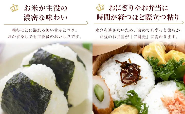 お米 ミルキークイーン 約5kg 精米