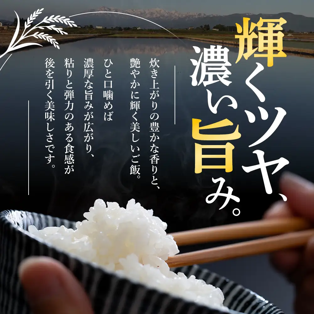【先行予約・定期便】謙信秘蔵米 コシヒカリ 奇数月 5kg×6回 コシヒカリ