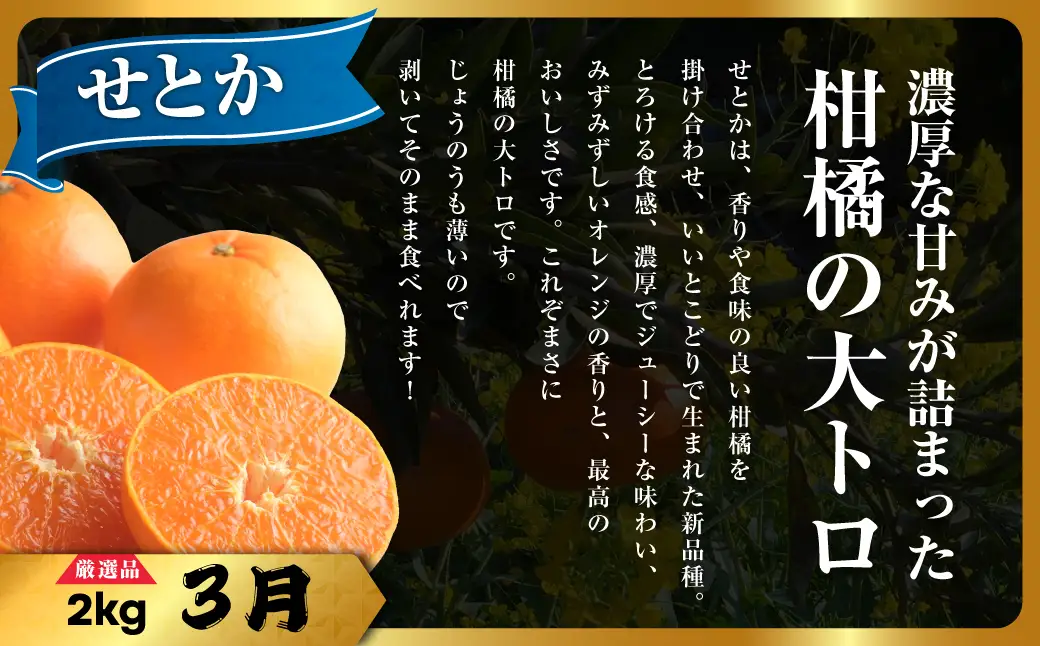【発送月固定定期便】【冬のご褒美定期便】まどんな・甘平・せとか 3種食べ比べ【H31-67】全3回 YWTAC052