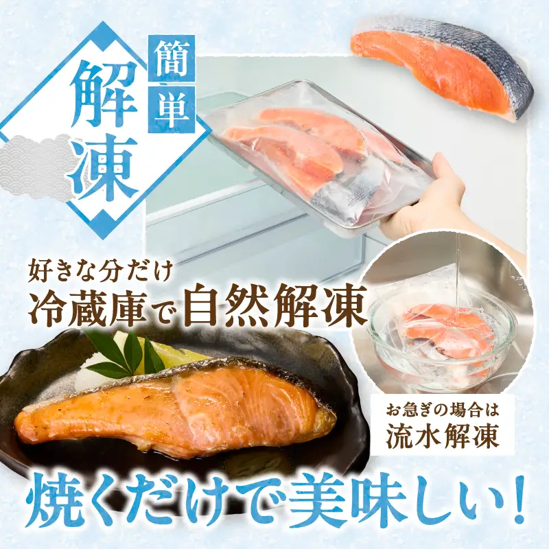 厚切りカット！ 訳あり 銀鮭 切身 約1.8kg (a15-716)