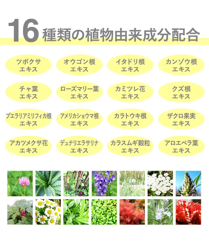MIRACOCO （ミラココ）リンクルール 15g / コスメ コスメ