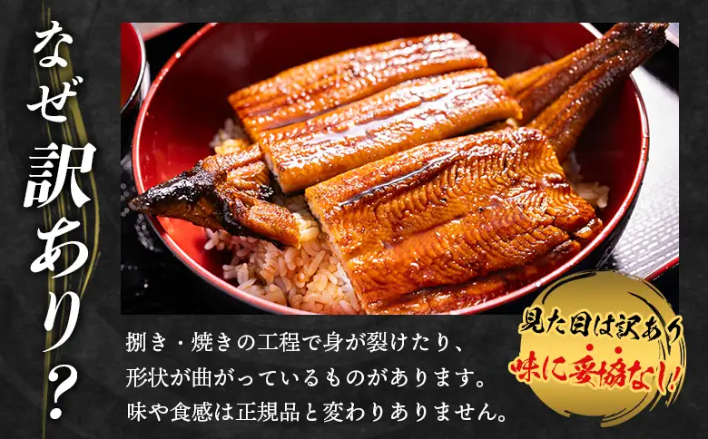 うなぎ 訳あり 2尾 計400g うなぎ fb-0206